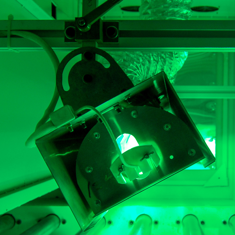 Lamp shade6fv