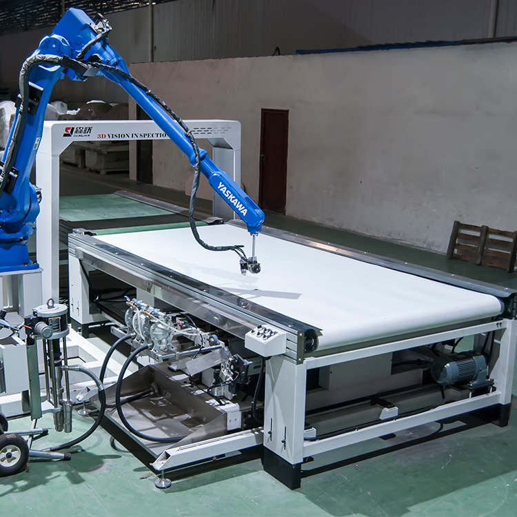 Transportador de banda de PE con escaneo visual 3D