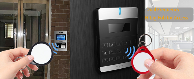 Dual Frequency Hitag Fob for Accessw8d