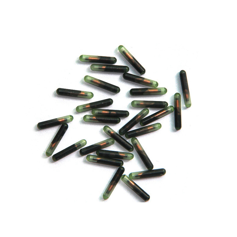 RFID Glass Tag Transponder for Animal Management