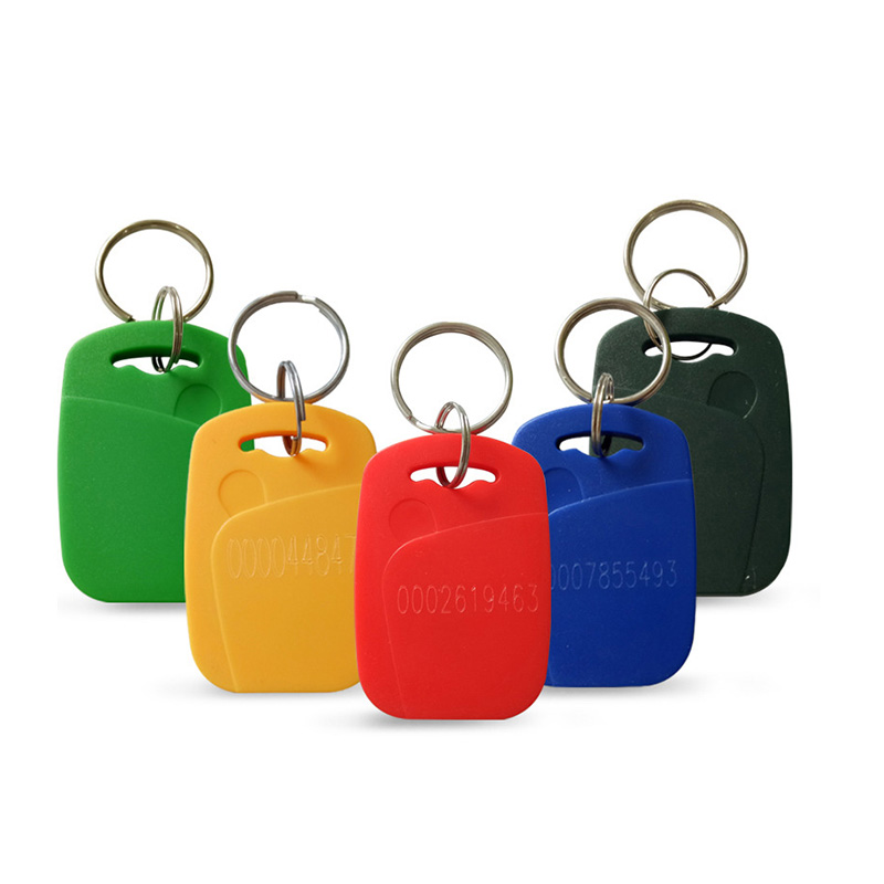 RFID Dual Frequency Key Fob for Gate Entry