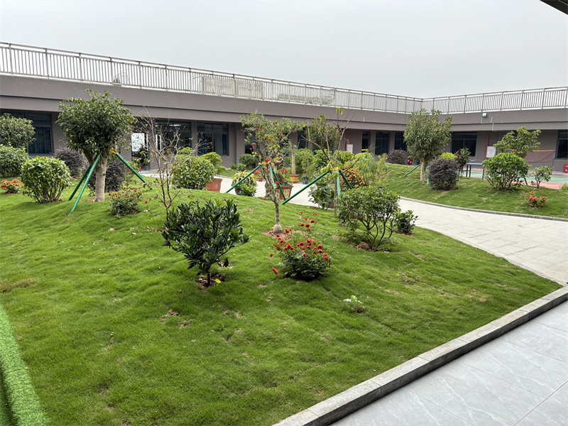 From Old Workshop to a Modern Multi-Floor Facility