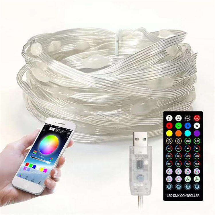 ਐਪ ਕੰਟਰੋਲ ਸਮਾਰਟ LED ਸਟ੍ਰਿੰਗ ਲਾਈਟ 5v USB (3)spm