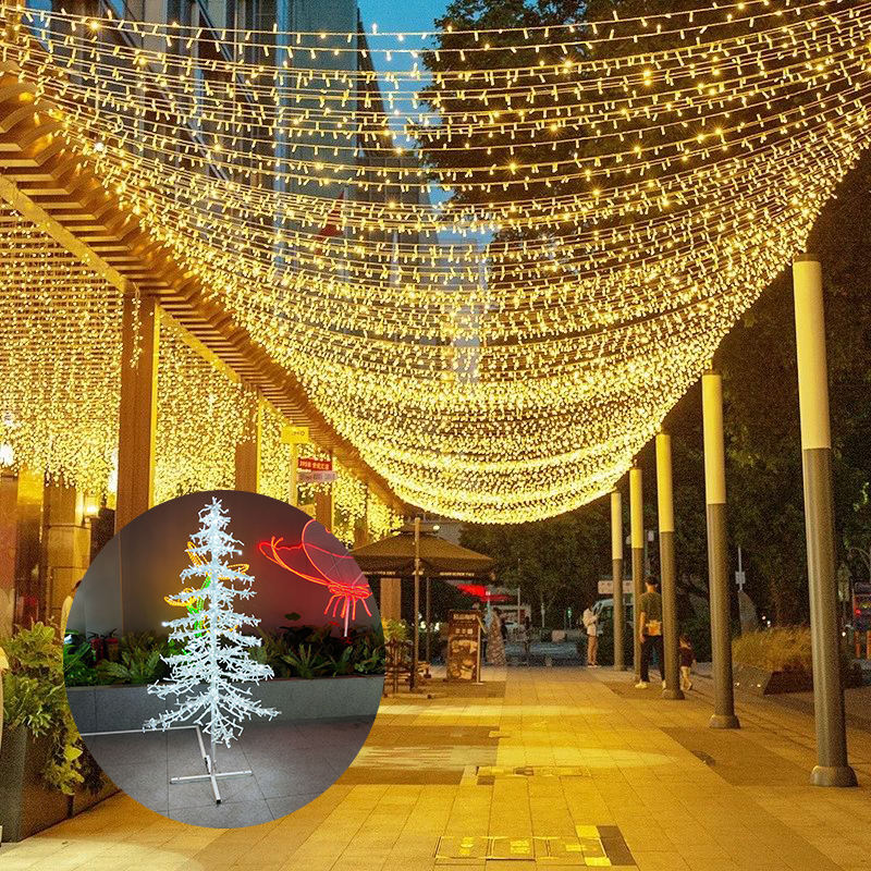 ਛੁੱਟੀਆਂ ਦੀਆਂ ਬਾਹਰੀ 100 LED ਸਟਰਿੰਗ ਲਾਈਟਾਂ 10m 220v 110v (8)sns