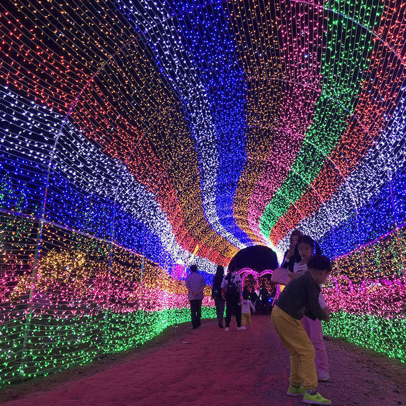 ਛੁੱਟੀਆਂ ਦੀਆਂ ਬਾਹਰੀ 100 LED ਸਟਰਿੰਗ ਲਾਈਟਾਂ 10m 220v 110v (7)q32