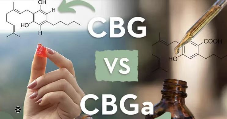 23b7c831c887577b2b690774e9971f59.jpg
