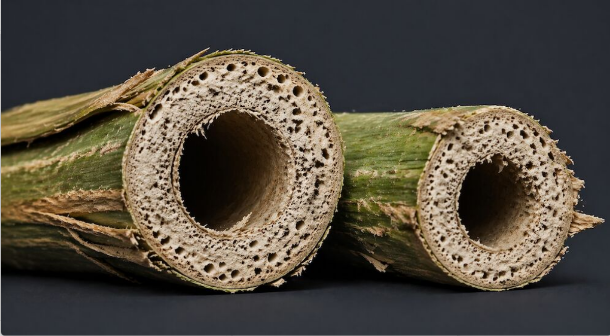 Latest Joint Study Shows Hemp Waste Can Increase Whole-Plant Utilization Revenue