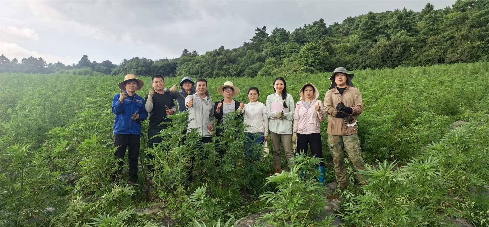 5.2025年8月8日繁种种植同事共同努力完成种苗优，进行品种迭代，保证公司种子供应.jpg