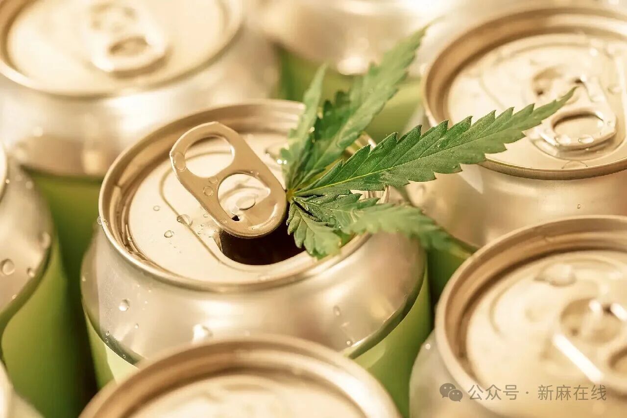 Hemp Drinks vs. The Alcohol Industry: Competition Heats Up