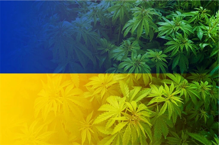 Ukraine Issues First Medical Cannabis Prescription, Marking a Historic Milestone for Healthcare Reform