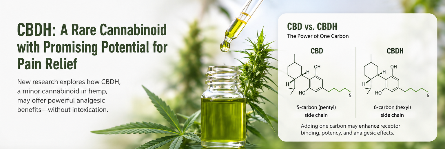 Could CBDH Become the Next Breakthrough Cannabinoid for Pain Relief? A Rare Hemp Compound Is Drawing Attention Beyond CBD