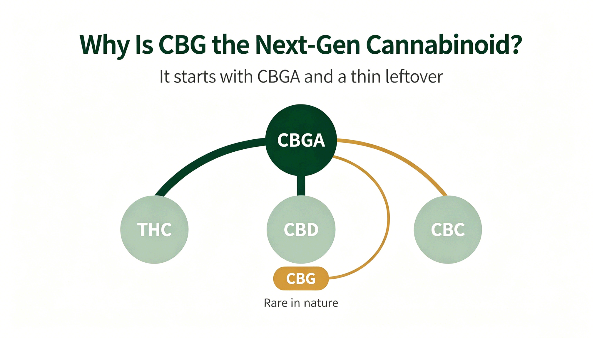 CBG Extract: The "Next-Generation" Cannabinoid Material in Industrial Hemp