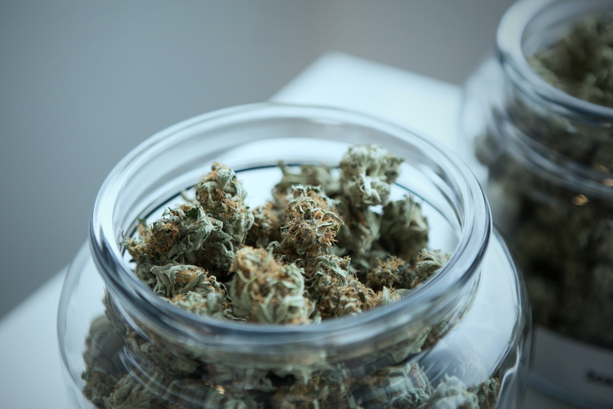YEAR-END SUMMARY: In 2024, researchers all over the world published more than 4,000 scientific papers on cannabis.