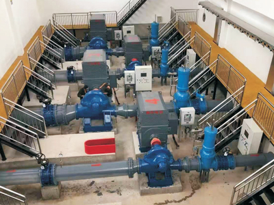 product-description1013r